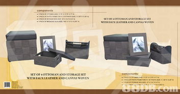 夏日創意風暴 專業設計服務，平通全港的視覺盛宴