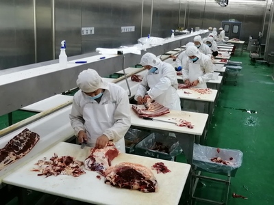 新時(shí)代的“庖丁”——新疆創(chuàng)錦福云食品牛肉分割與保健食品生產(chǎn)掠影